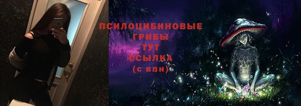 стафф Арсеньев