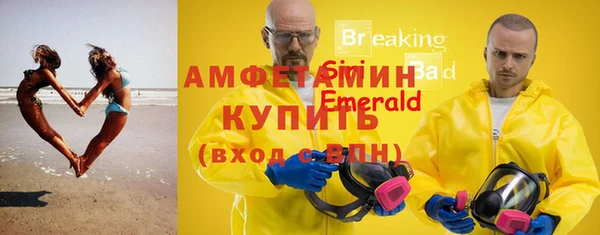 стафф Арсеньев