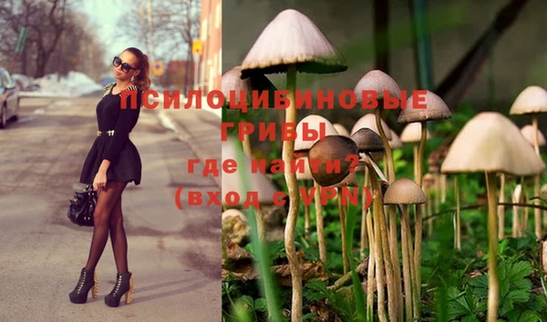 МДМА Армянск