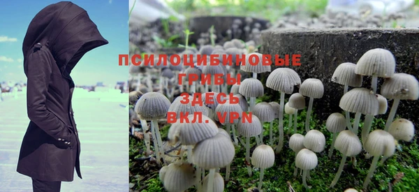 стафф Арсеньев