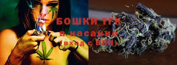 стафф Арсеньев