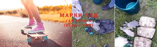 стафф Арсеньев