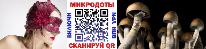 blacksprut ССЫЛКА  Среднеколымск  Псилоцибиновые грибы мицелий 