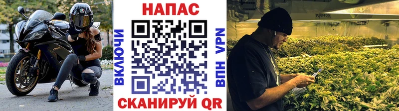 Канабис Bruce Banner  купить закладку  shop какой сайт  Среднеколымск 